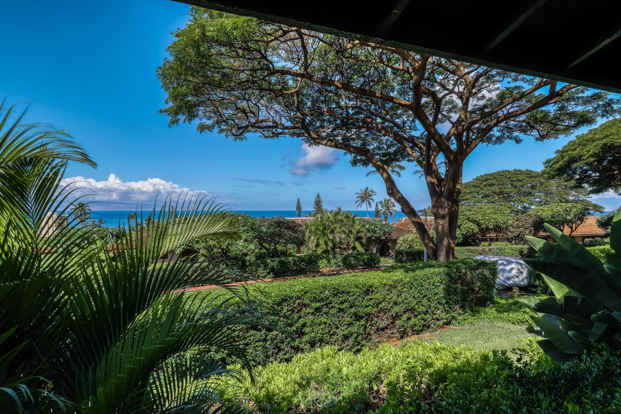 Kaanapali Plantation Condominiums 部屋 写真